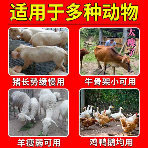 Pigs are appetizing and invigorating. Eat hard and grow stiff pigs. Stiff pigs will not grow long just by eating. Pig growth hormone is a fattening feed additive. Stiff pigs won’t grow long just by eating. 2 bags. Eat hard and grow.