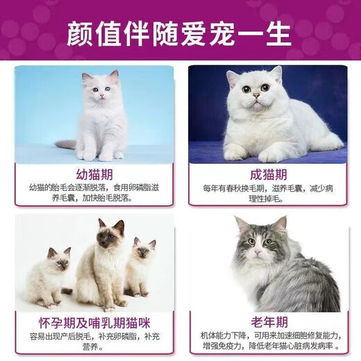 He Jiangong cat food for young cats, high protein nutrition, fattening, non-shedding, cattery cats, 5 Jin Jin is equal to 0.5 kg, adult cat full price cat food, chicken flavor cat food, store manager 2.5 kg, 5 Jin Jin is equal to 0.5 kg