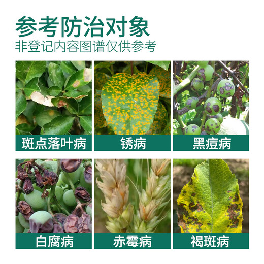 Dongtai 10% difenoconazole suspension lemon tree fruit resin disease vegetable water watermelon anthracnose pesticide fungicide