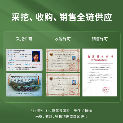 Ayishe Tibet's First 2025 Wild Fresh Cordycess Sinensis, воздушная груза, подарочная коробка для питательных продуктов для старейшин, 20 грамм дикой свежей травы