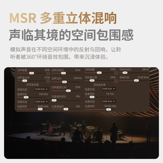 麦乐迪DSP9900胆管电子管前级效果器专业k歌音响话筒防啸叫抑制音频处理器卡拉ok混响人声 DSP9900旗舰版效果器