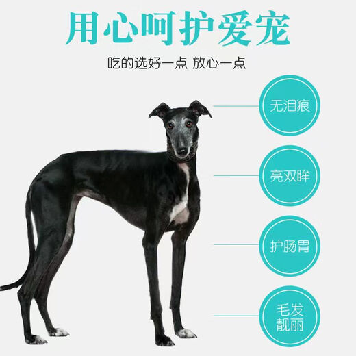 He Jian Gong Fine Dog Hound Special Dog Food Whippet Gree Greyhound Large Packaging 40 Jin Jin equals 0.5 kg Universal adult puppy food Puppy special dog food 10 Jin Jin equals 0.5 kg 1-6 months puppies 1lb