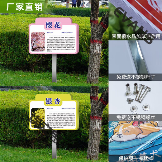 Ground type tree brand school park stainless steel plant greening information sign tree introduction sign care imitation CDSP-10 (surface covered with crystal + pole) 50x70cm