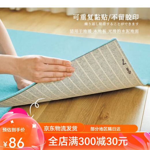 Toli Japaner Tori Spleiß Teppich Wohnzimmer Ins Schlafzimmer Anti-Rutsch-Self-Priming-Kleber-freier Traaceless 1 cm dick 40*40 cm AK3519