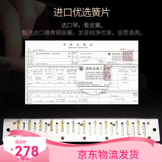 Guoguang Imported gong accent harmonica polyphonic beginner high-end adult harmonica professional performance grade 28 holes C tune 24 holes C tune accent black 1