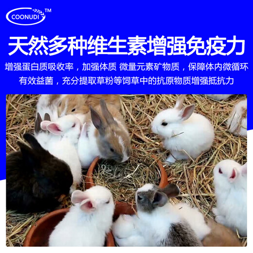 Zhengzhou Kangdi 4% Rabbit Premix Puppy Rabbit Breeds Fast-growing Meat and Bone Meat Rabbit Rex Rabbit Belgian New Zealand Rabbit Female Rabbit (Reproduction Period)
