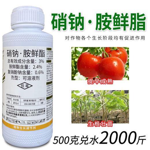 Compound sodium nitrate and amine ester fruit tree wheat growth regulator improves chlorophyll regulation balance and increases yield sodium nitrate and amine ester 500g*1 bottle