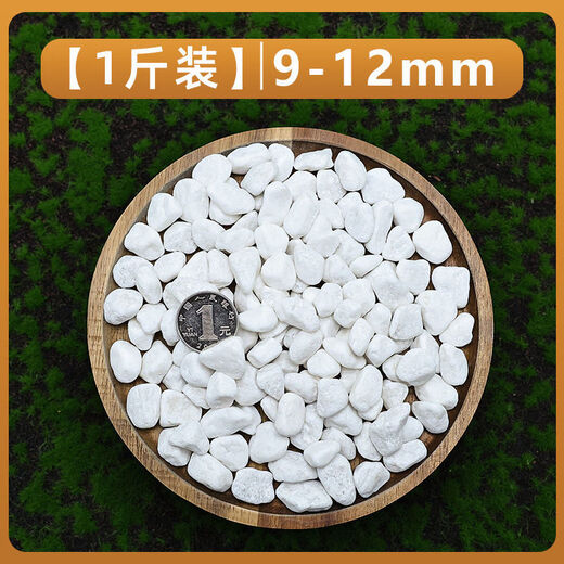 Runhua Nian micro landscape white pebbles Yuhua stone succulent plant paving stone fish tank flower pot decoration small stones 1Jin Jin equals 0.5 kg (9-12mm) white pebbles