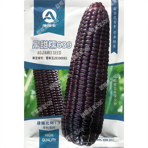 White, sweet and waxy corn seeds, high-yielding, sown in all seasons, white and waxy corn, non-transferable, national-approved, farmers’ super-sweet and waxy corn seeds, Jinuo 20 corn seeds, 100g, 1 bag