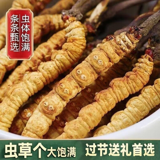 Authentische Cordyceps Authentische Cordyceps 3 Wurzeln/G 50 Geschenkboxen Cordyceps Unbroken Gras Höhengeschenke 3 Wurzeln/G 3 Wurzeln (Spezifikationen) 30 Geschenkboxen