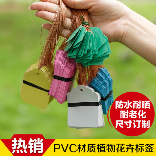 奔新农（BENXINNONG）PVC防水标签/园艺标签/花卉牌/带线吊牌/塑料标签/吊签植物标签牌 5*7cm黄一百张