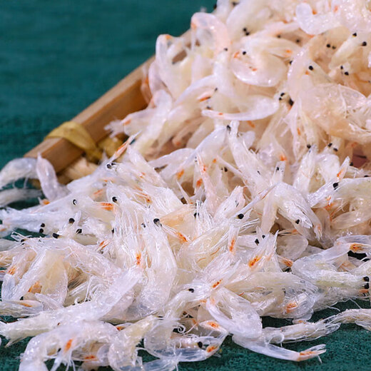 Jingxijia value-for-money must-have dried shrimps and dried shrimps 100g