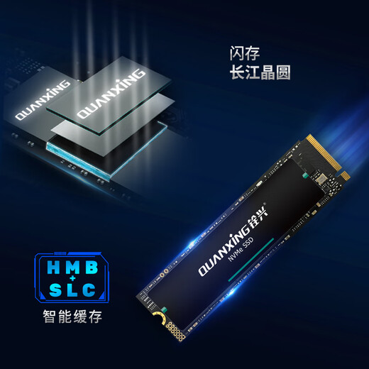 铨兴（QUANXING）1TB SSD固态硬盘 AI PC存储配件 M.2接口 2280（NVME协议）PCIe4.0 读速7000MB/s N700