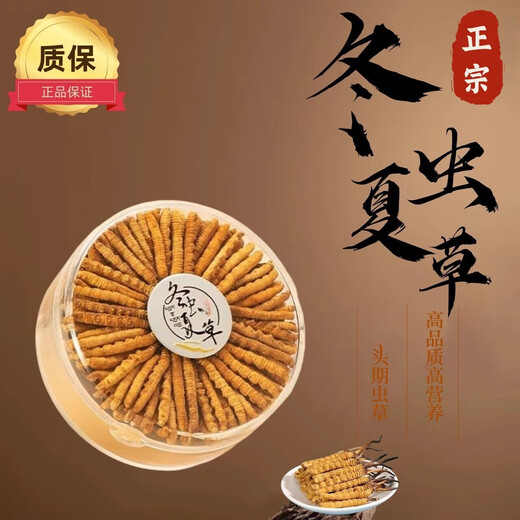 
Selected authentic snow mountain cordyceps sinensis genuine first-stage fresh cordyceps 50g gift box for 4 pieces/gram dry goods Tibet Nagqu Cordyceps 50 pieces gift box for 2 pieces/gram