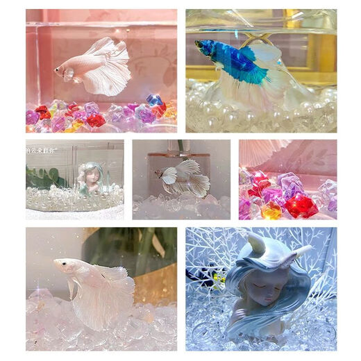 Runhuanian simulated crushed ice stone fish tank landscaping pavement aquarium acrylic creative color base small blue broken diamonds + pearls 5 each