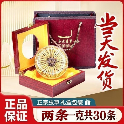 
Authentic Tibetan Cordyceps 3 1 gram 50 gift boxes in snow-capped mountains and the Cordyceps gifts to nourish and nourish the dried goods Authentic Tibetan Cordyceps 2 1 gram 50 pieces