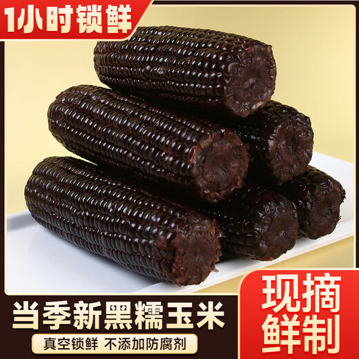 Jingxiansheng Shandong Black Corn 3.6Jin Jin equals 0.5kg (180g*10 corns) non-GMO vacuum packed low-fat breakfast straight from the source