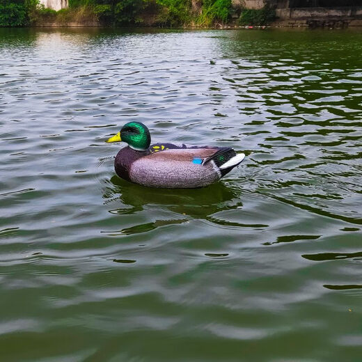 MieLanat water remote control boat bionic duck toy boat can launch high-speed speedboat RC model simulation animal children electric remote control duck one lithium battery (20 minutes)