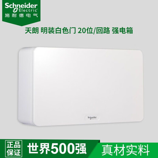 Schneider Tannoy series exposed assembly power box strong power box ABS cover floor box metal material guarantee TLM08B