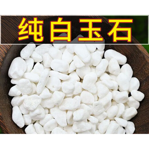 Runhuanian small white stone succulent paving stone flower cultivation pebbles rain flower stone fish tank landscaping basin fine full white stone 3-6mm 1Jin Jin is equal to 0.5 kg