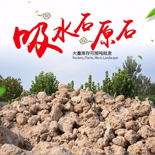 Stone flowerpot with water-absorbing stone, raw stone, natural flowerpot with asparagus, bamboo, calamus, succulents, micro-landscape pot, 13-17cm stone pot + round bottom bracket