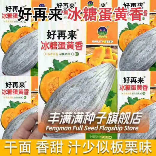 Qizhe rock sugar egg yolk scented pumpkin seeds dry sweet noodles noble ugly melon sweet chestnut pumpkin seeds Northeast golden chestnut rock sugar egg yolk scented pumpkin 2 packs + fertilizer
