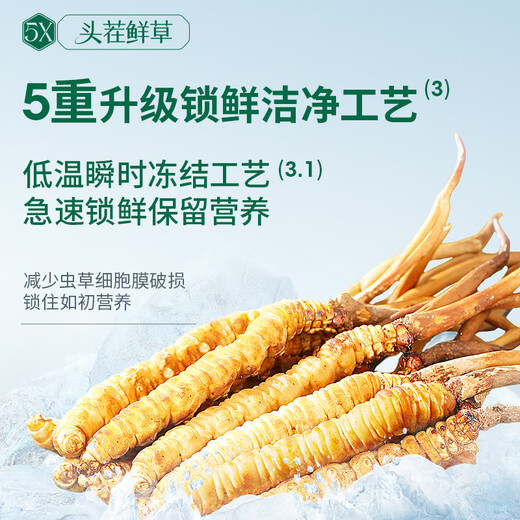 阿依舍 2025年头茬新鲜冬虫夏草鲜虫草礼盒冷鲜空运送长辈端午节礼物 0.6克/根 50根礼盒装