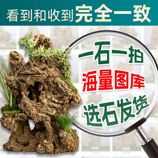 High-quality water-absorbing stone bonsai fish pond rockery micro-landscape decoration natural rockery stone landscaping raw stone high-quality 15-19cm water-absorbing stone with basin