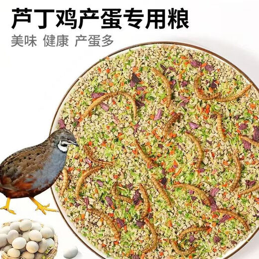 Rutin chicken special feed Rutin chicken egg production feed mealworm brooding feed quail feed high protein 5Jin Jin is equal to 0.5 kg egg production food containing mealworm dried vegetables