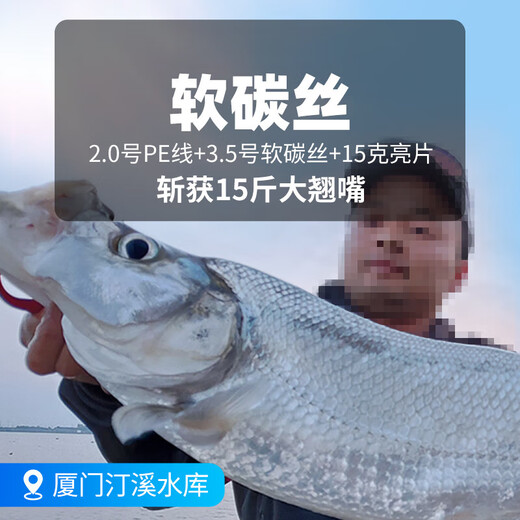 Pulian carbon line main line carbon sea fishing sea pole sea pole throwing fishing line special sub-line sub-front lead line soft carbon wire - transparent 220 meters strong tensile strength more wear-resistant fast cutting water shot one shot two No. 1