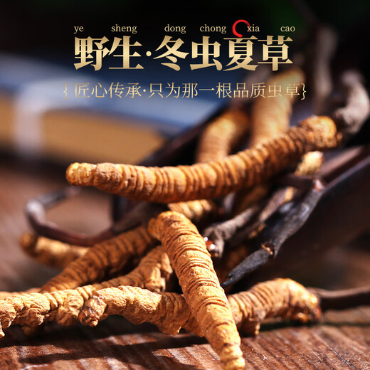 三江源野生冬虫夏草2根/g 1g2根 青海玉树原产地高海拔虫草青海玉树原产