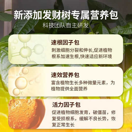 Spezialerde für Geldbäume, nährstoffreiche Erde, Blumenerde, Geldbaumdünger, spezielle Düngererde, Pflanzerde für grüne Topfpflanzen im Haushalt, Spezialerde für Geldbäume, 20 Jin, Jin entspricht 0,5 Kilogramm