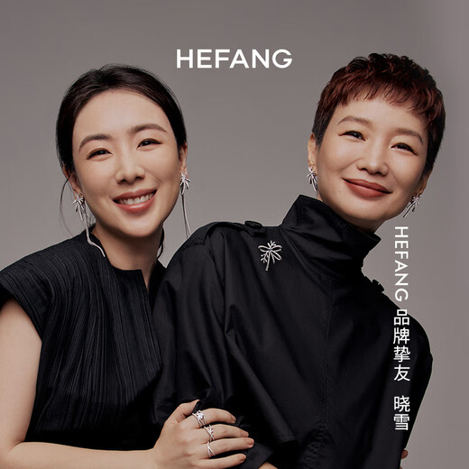 HEFANG He Fang Jewelry Ribbon Chuxue Brooch Elegant Pin Light Luxurious and High-end Birthday Gift for Girlfriend