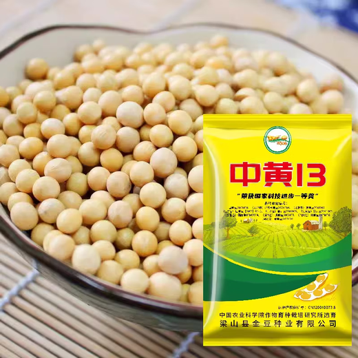 Thousand Jin Jin is equal to 0.5 kilograms. Bean and soybean seeds can be sown in spring soybean seeds and summer soybean grain seeds in field bases. Zhonghuang 13 soybean seeds 1 Jin Jin is equal to 0.5 kilograms (National Bean Examination 20010