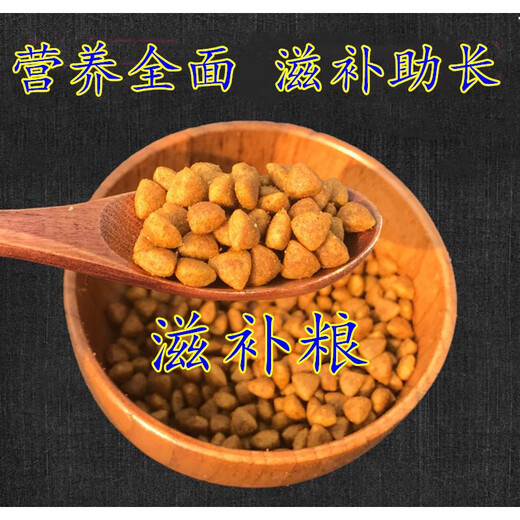 He Jian Gong Fine Dog Hound Special Dog Food Whippet Gree Greyhound Large Packaging 40 Jin Jin equals 0.5 kg Universal adult puppy food Puppy special dog food 10 Jin Jin equals 0.5 kg 1-6 months puppies 1lb