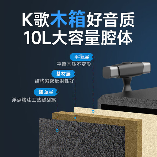 SANSUI TE06 square dance audio 8-inch subwoofer mobile outdoor karaoke rod speaker wireless microphone stall speaker electric acoustic guitar folk instrument speaker high power