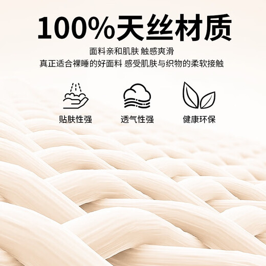 Shantou Lincun High Luxury Lyocell Tencel Baby Velvet Bed Cover Four Seasons Blanket A Side Tencel B Side Baby Velvet Can Bedding Baoli 21