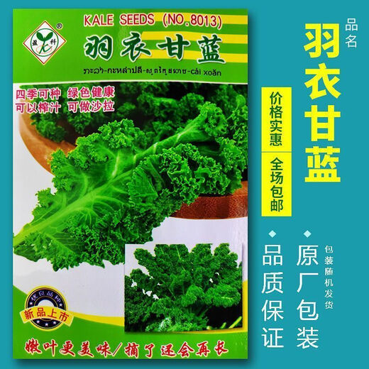 Kale seeds, kale seeds, balcony potted plants, easy to grow fruits and vegetables in the field, kale seeds, brand new seeds, selected grains, 2 packs, about 200 grains