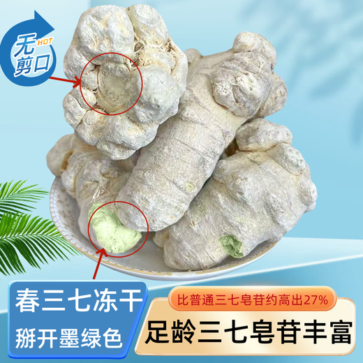 Panax notoginseng Yunnan Wenshan Panax Notoginseng Sélection de printemps de Spring Panax NotoginSeng 15 ans 500G Tianqi Pownnan Panax NotoginSen