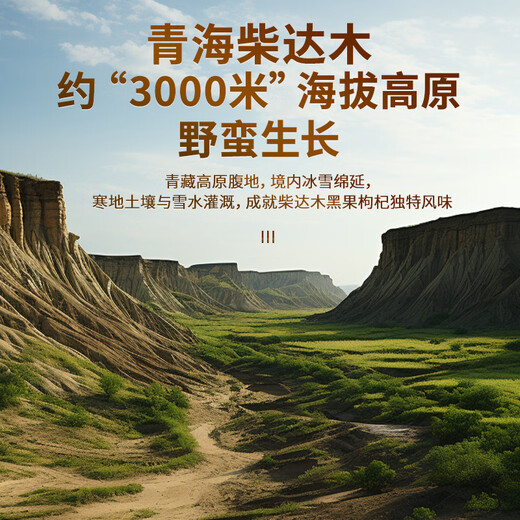 Tongrentang brand Beijing Tongrentang black fruit and wolfberry gift box 160g as a gift for parents and elders, new year's tonic