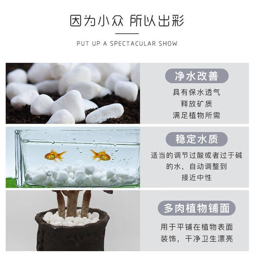 Runhua Nian micro landscape white pebbles Yuhua stone succulent plant paving stone fish tank flower pot decoration small stones 1Jin Jin equals 0.5 kg (9-12mm) white pebbles