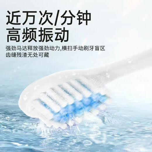 Fully automatic sonic electric toothbrush household high-frequency vibration DuPont brush head deep cleaning gum protection long battery life adult students unisex birthday and Valentine's Day practical gift Xuefeng white rechargeable model LED display + magnetic levitation sound wave + 6 major modes