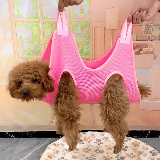 Bellojia dog hammock nail clipping pet cat washing cat bag bathing hanging anti-breakaway fixed artifact anti-scratch bite anti-fall fresh green hanging type free hook S-recommended 5-10 Jin Jin equals 0.5 kg