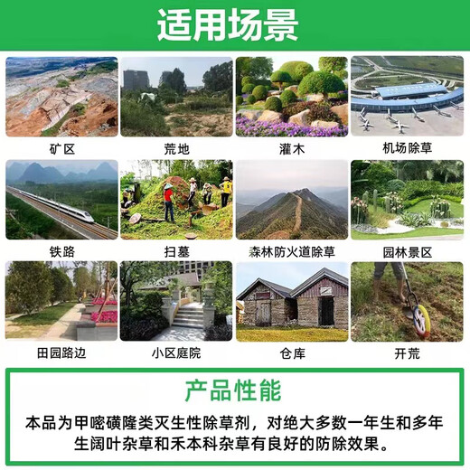 Fanbang 75% metsulfuron herbicide to remove shrubs and weeds, road and railway fire isolation zone, root rot herbicide, pesticide 12g/10 bags with auxiliaries