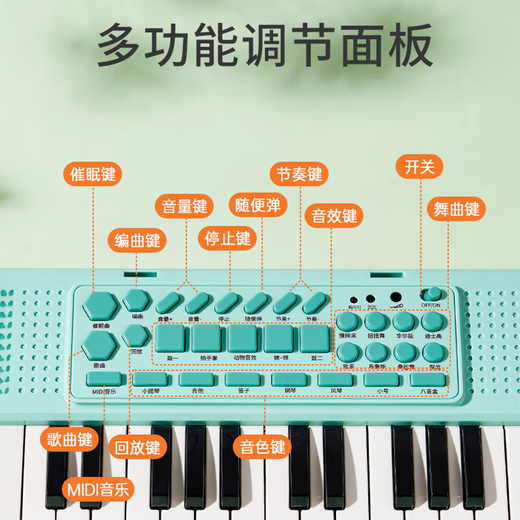 Carl Baby 37-key electronic keyboard children's toy musical instrument beginner early education with microphone small piano boy and girl birthday gift