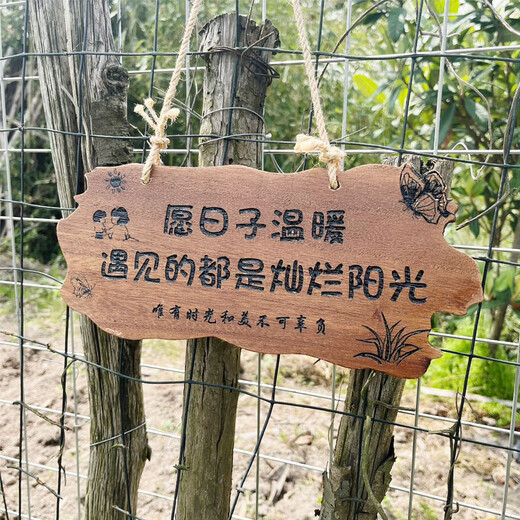 实木装饰挂牌家用阳台花园庭院实木DIY墙上挂件吾家小院创意门牌 款二30*14CM遇见花开