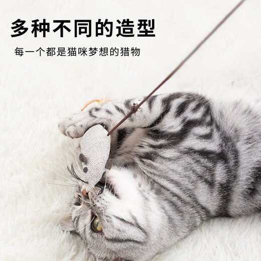 Pochido cat toy 5-piece set of cat amusing sticks, cats self-pleasure and relieve boredom, small mice with bells, bite-resistant, cats consume energy