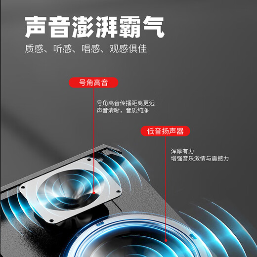 Malata square dance audio high-power shocking bass portable outdoor karaoke trolley speaker professional stage performance equipment karaoke sound card live broadcast internal recording all-in-one machine M+9295 Thunder Fire (10-inch bass) built-in sound card + dual charging microphones free gift package