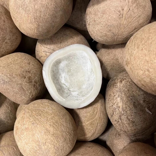 Vacuum coconut king slices, sea coconut king slices, coconut meat, fresh coconut meat, fragrant coconut milk, soup, catering, coconut chicken, 2 coconut king meats