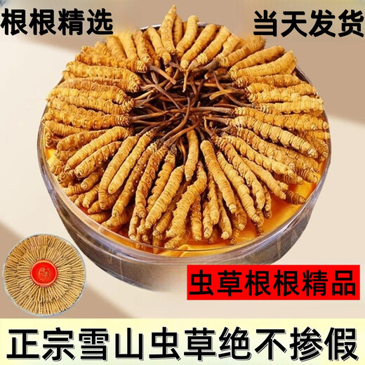 
Authentic Tibetan Cordyceps 3 1 gram 50 gift boxes in snow-capped mountains and the Cordyceps gifts to nourish and nourish the dried goods Authentic Tibetan Cordyceps 2 1 gram 50 pieces